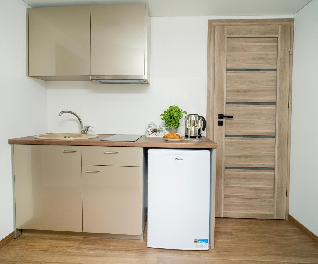Downhill Apartment On The Groundfloor 考纳斯 外观 照片