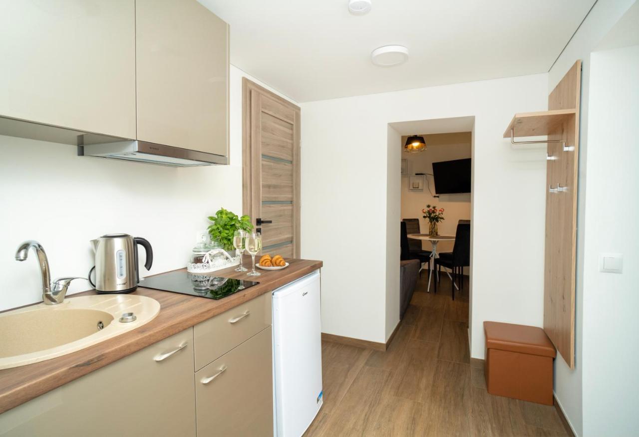 Downhill Apartment On The Groundfloor 考纳斯 外观 照片