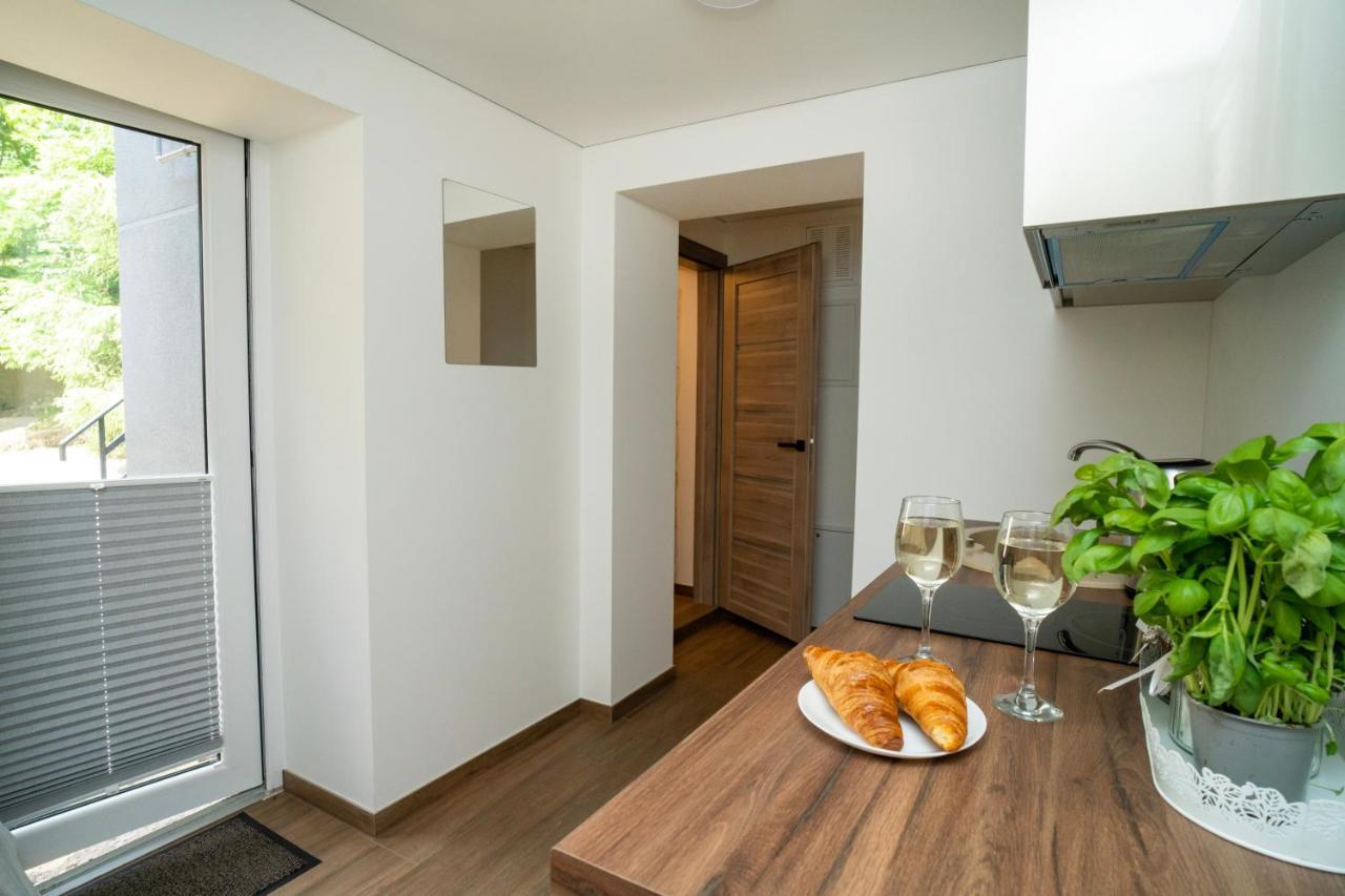 Downhill Apartment On The Groundfloor 考纳斯 外观 照片