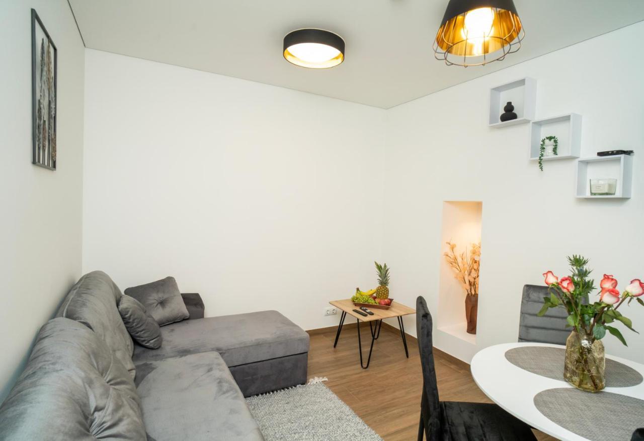 Downhill Apartment On The Groundfloor 考纳斯 外观 照片